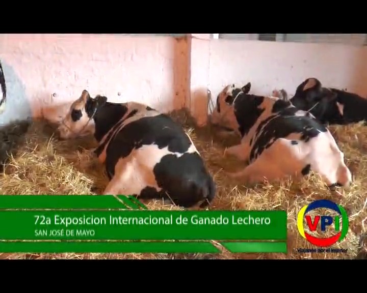 Programa 112 - 4/11/2016